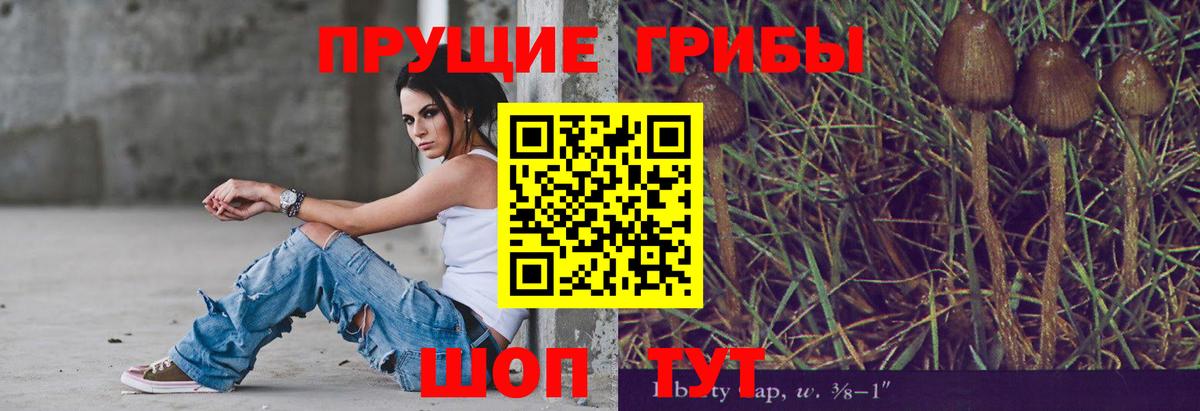 даркнет сайт  Псилоцибиновые грибы GOLDEN TEACHER  Владимир  Вход с VPN  Галлюциногенные грибы Cubensis 